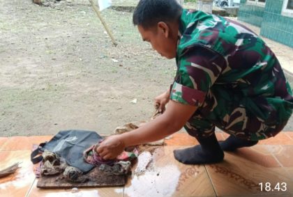 TNI Amankan Granat Aktif Dan Munisi Dari Keluarga Veteran
