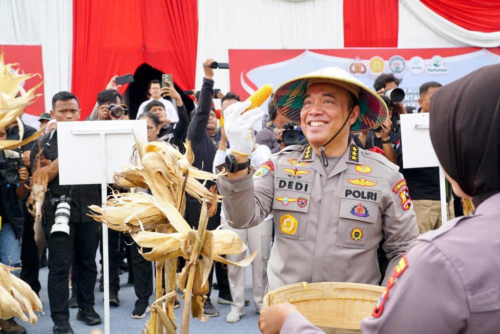 Panen Jagung Di Madiun: Sinergi Polri, TNI, dan Petani