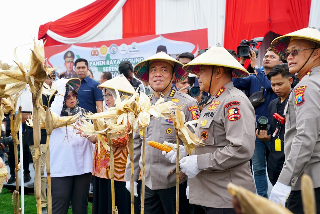 Panen Jagung Di Madiun: Sinergi Polri, TNI, dan Petani