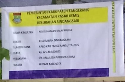 Proyek Lapangan Balai Warga Sindangsari di Duga Tidak Sesuai RAB.
