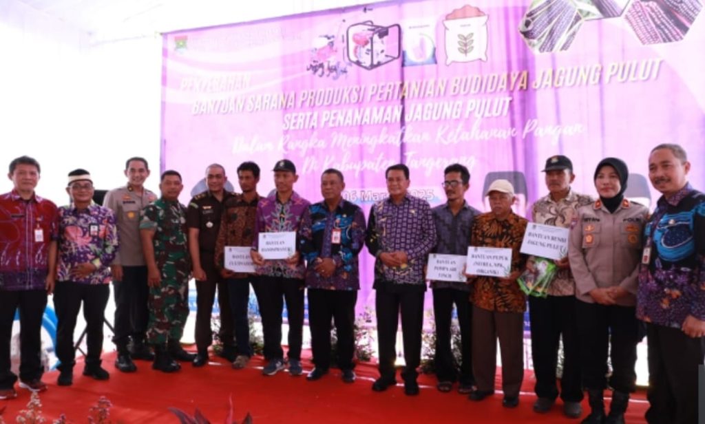 Bupati Tangerang Serahkan Bantuan dan Tanam Jagung Pulut untuk Ketahanan Pangan