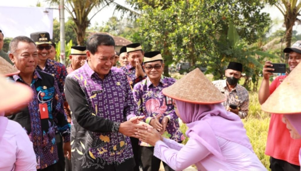 Bupati Tangerang Serahkan Bantuan dan Tanam Jagung Pulut untuk Ketahanan Pangan