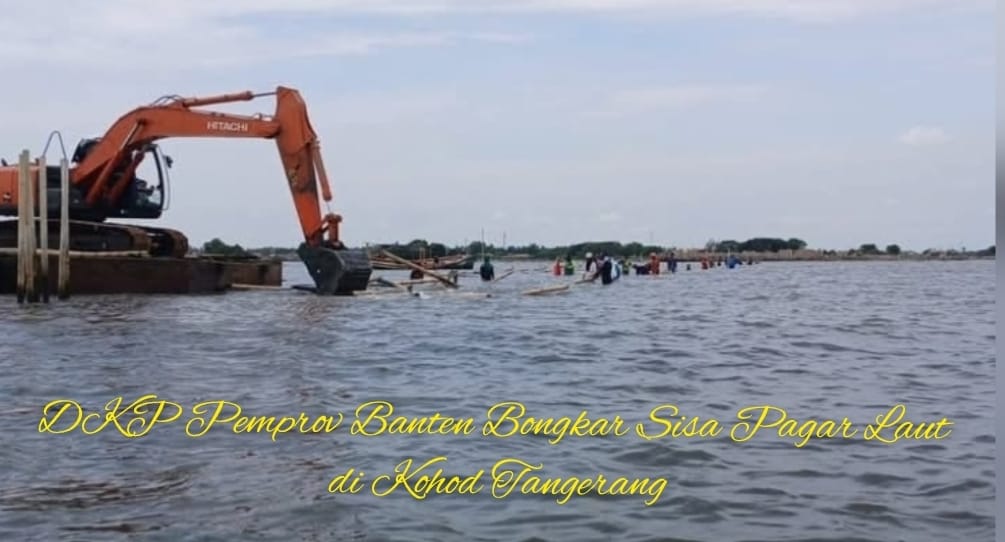 Pemprov Banten Bongkar Pagar Laut di Desa Kohod Demi Lindungi Ekosistem Pesisir