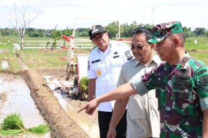 Kabupaten Tangerang Sukseskan Program Nasional Tanam Padi Serentak