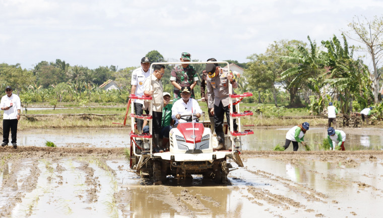 Kabupaten Tangerang Sukseskan Program Nasional Tanam Padi Serentak
