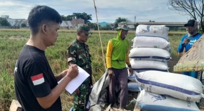 Penyerapan Gabah oleh Bulog Tangerang Hampir Capai Target 28.000 Ton